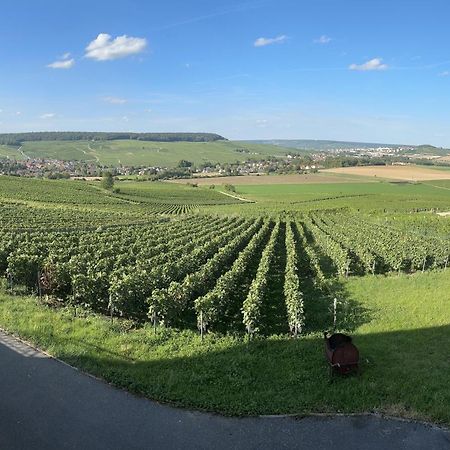 Vila Au Coeur Du Terroir Champenois Chavot-Courcourt Exteriér fotografie