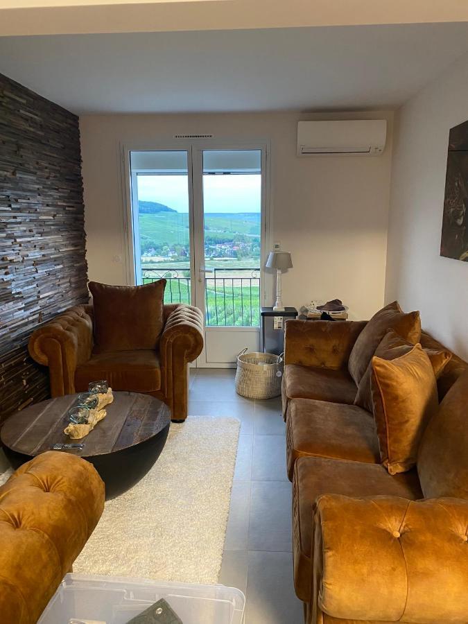 Vila Au Coeur Du Terroir Champenois Chavot-Courcourt Exteriér fotografie