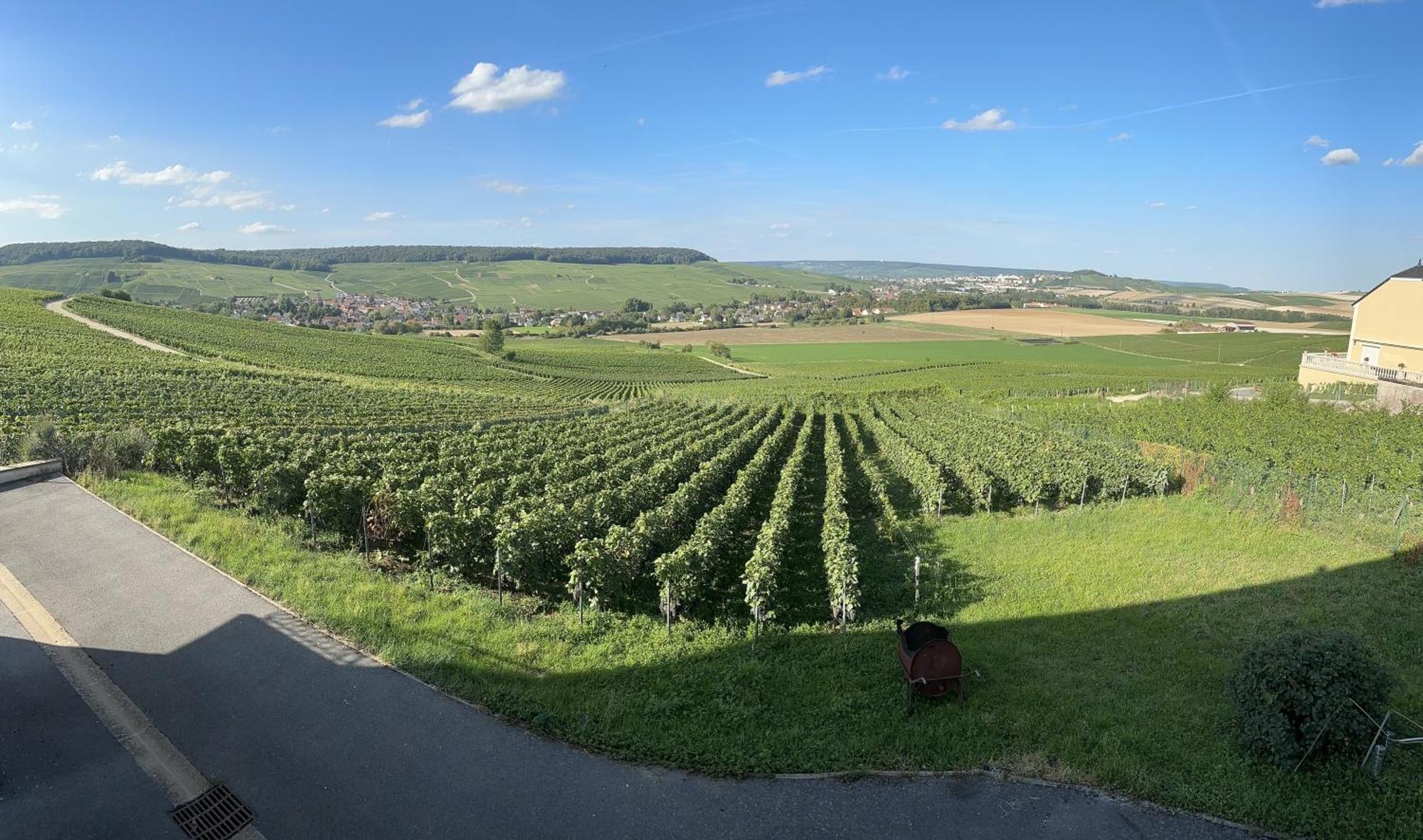 Vila Au Coeur Du Terroir Champenois Chavot-Courcourt Exteriér fotografie
