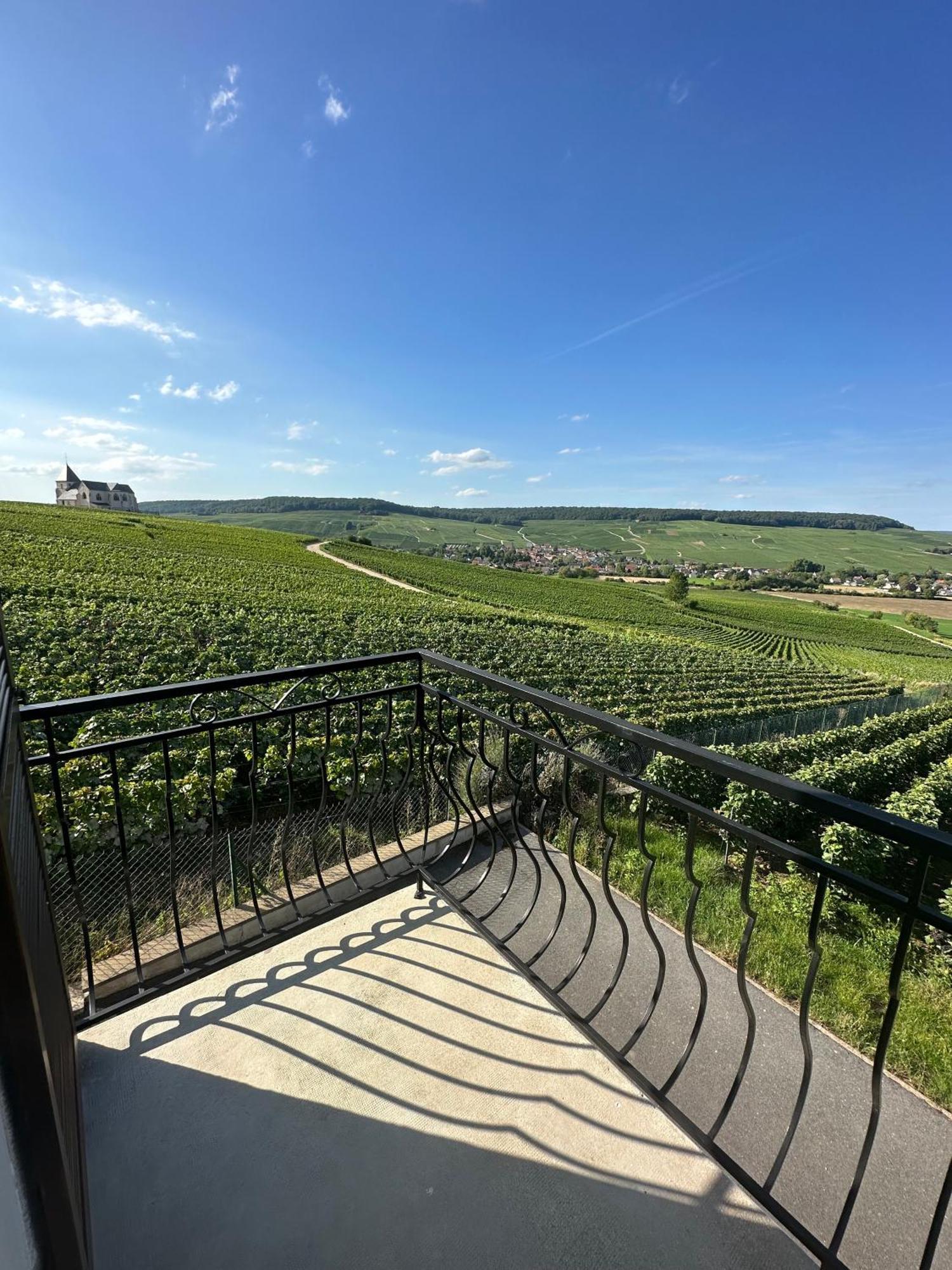 Vila Au Coeur Du Terroir Champenois Chavot-Courcourt Exteriér fotografie